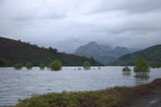 25th May 2014 - Trees in Embalse de Riano