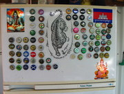 25th Aug 2014 - Magnet Collection
