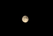 9th Aug 2014 - Full Moon