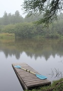 25th Aug 2014 - Paddle