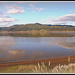 Waikato river delta 4 by julzmaioro
