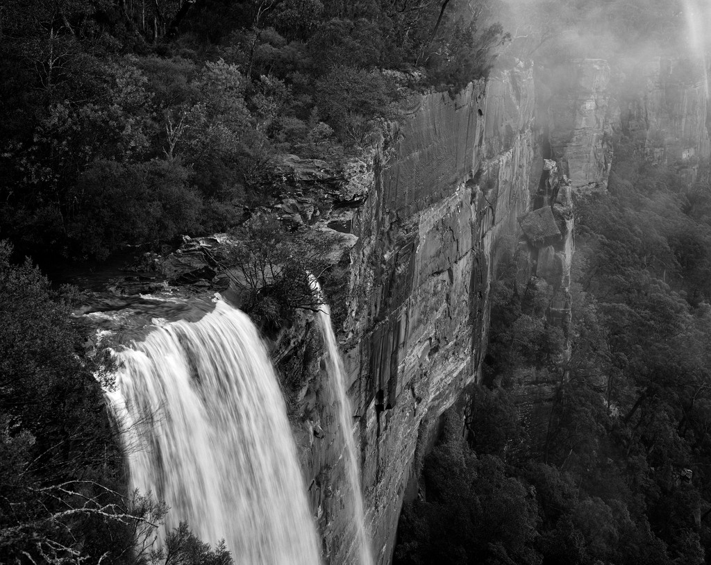 Fitzroy Falls by peterdegraaff