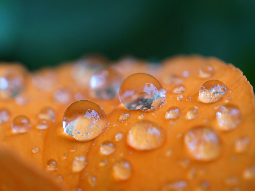 Droplets by mattjcuk
