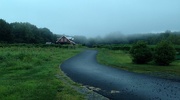 25th Aug 2014 - Fog on the farm
