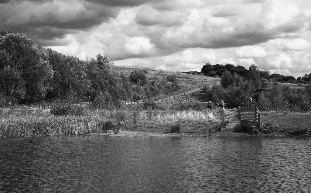 Gedling Country Park In Infrared (ish) by phil_howcroft