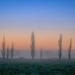 Foggy Sunrise by teodw