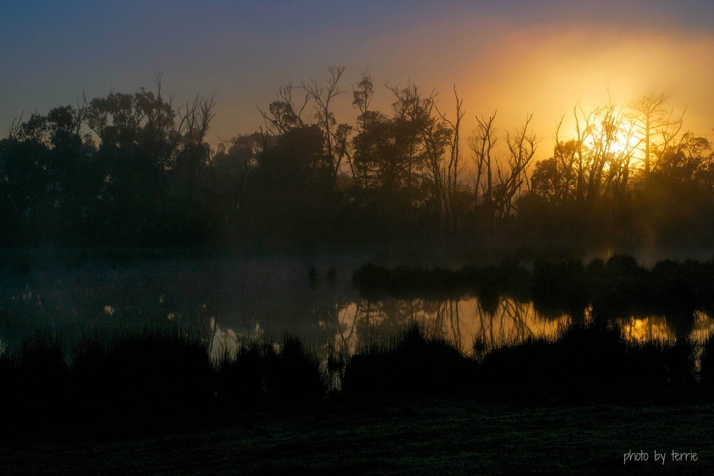 Sunrise At My Swamp by teodw