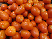 26th Aug 2014 - Just tomatoes