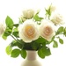 a vase of roses by quietpurplehaze