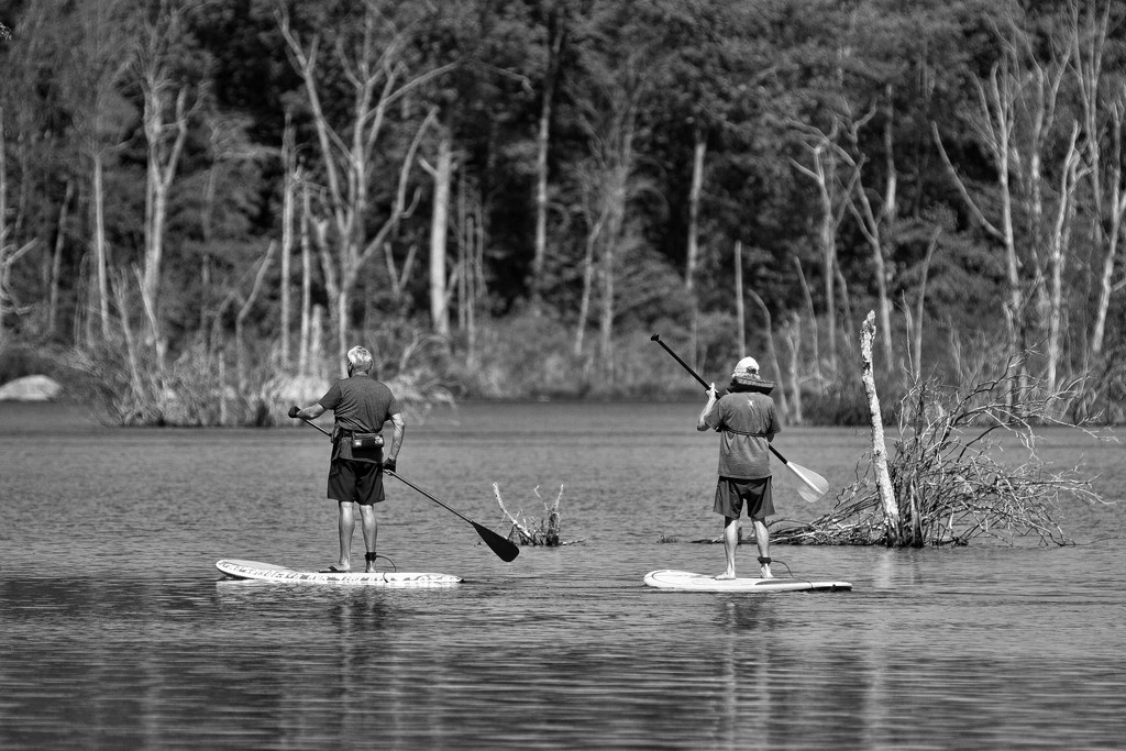 Stand Up Paddleboarding by kannafoot