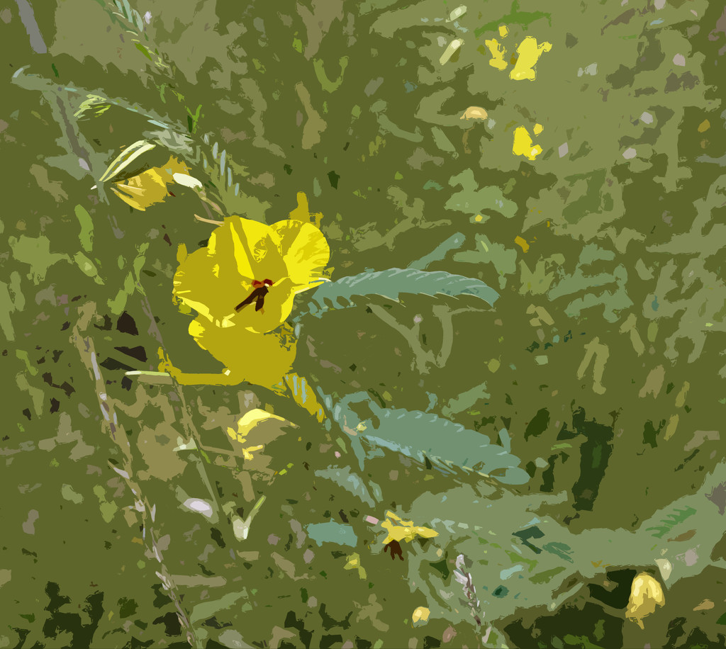 Small Yellow Flower Cutout Effect by rminer