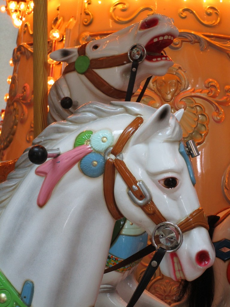 Carousel Horses by tunia