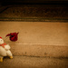 (Day 195) - Runaway Chicken by cjphoto