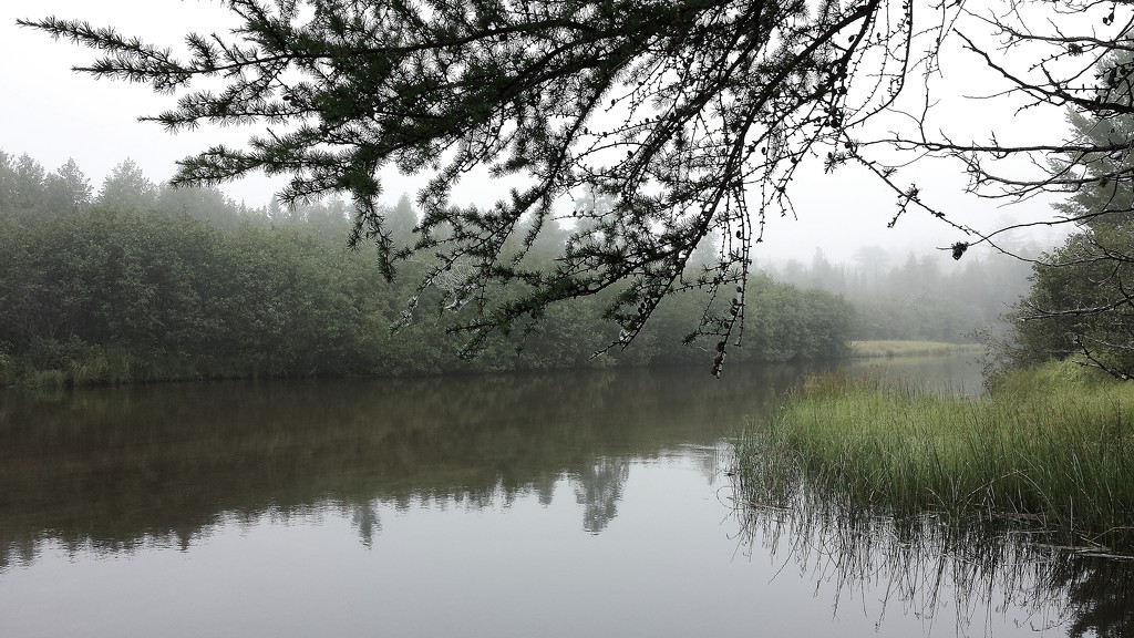 Foggy Downstream by edorreandresen