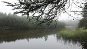 26th Aug 2014 - Foggy Downstream