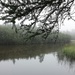 Foggy Downstream by edorreandresen