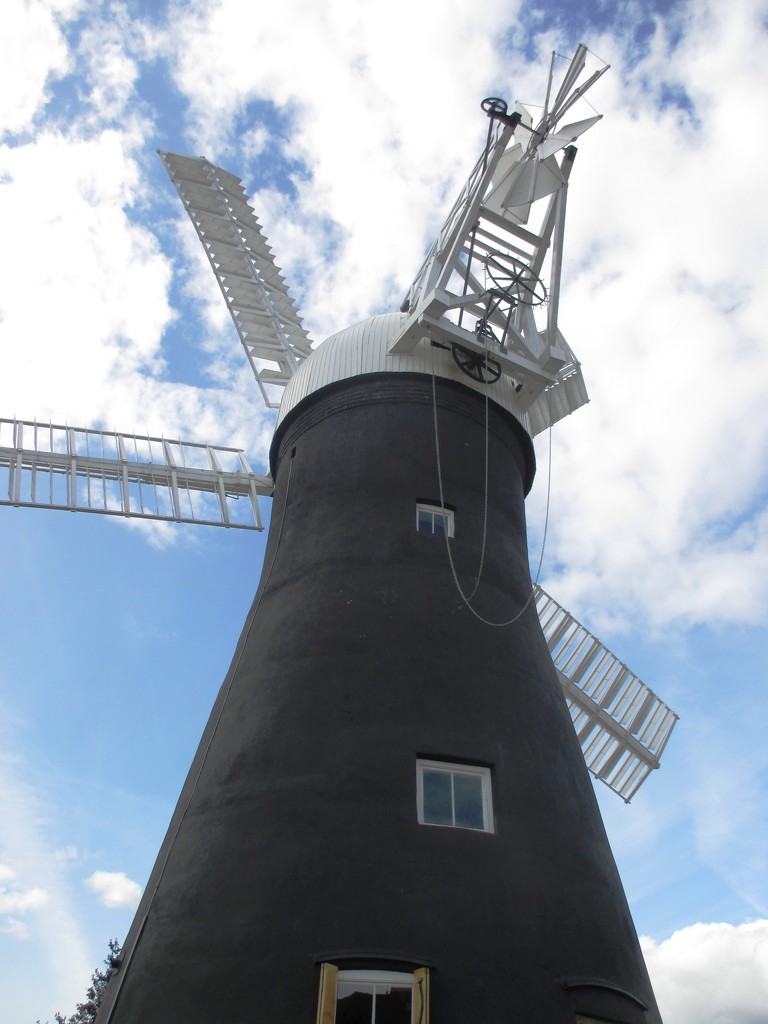 Windmill Fantail by fishers