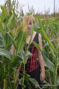 31st Aug 2014 - Girl in the Corn
