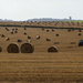 Bales bales and more bales - 28-08 by barrowlane