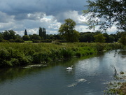 23rd Aug 2014 - A walk at Grantchester along the river Cam.... 