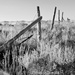 Old Fence by stownsend