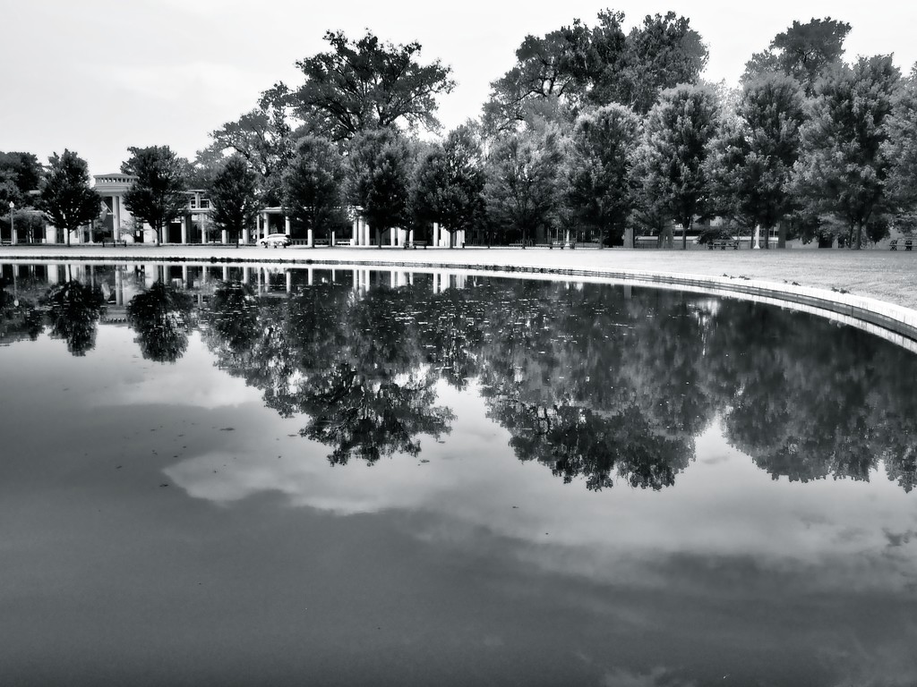 Reflections in Forest Park by rosiekerr