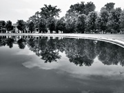 28th Aug 2014 - Reflections in Forest Park