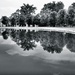 Reflections in Forest Park by rosiekerr