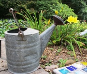 28th Aug 2014 - Watering Can