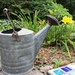 Watering Can by tunia