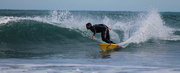 29th Aug 2014 - Surfs up Dude