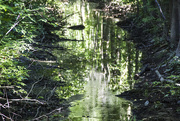 28th Aug 2014 - Stream Reflections