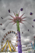 28th Aug 2014 - Swinging Time at the Ex
