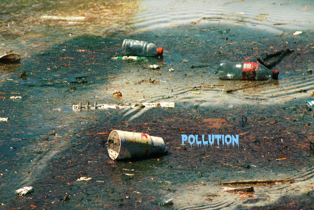 Pollution by judyc57