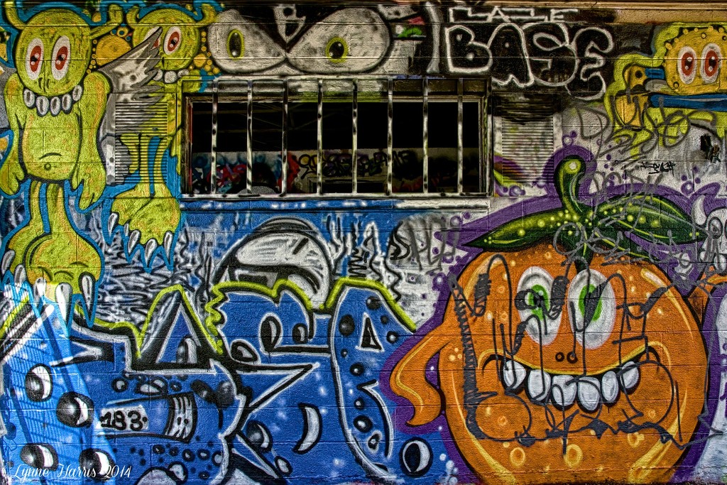 Graffiti Wall by lynne5477