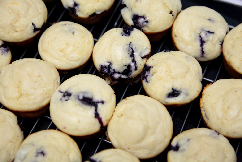 Muffins by steelcityfox