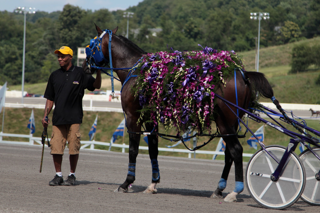 McWicked Wins the Adios! by steelcityfox