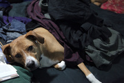 27th Jul 2014 - Laundry Helper
