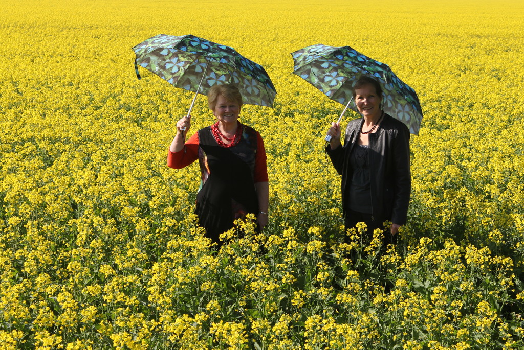 Ballet nymphs in the canola! by gilbertwood