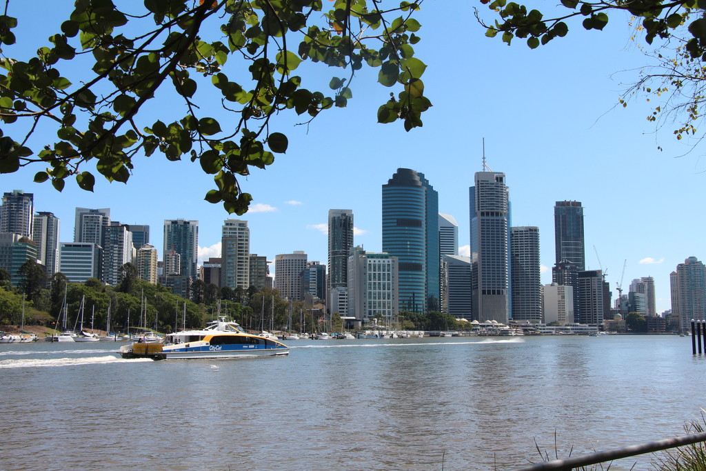 My Brisbane 43 - Brisbane City by terryliv