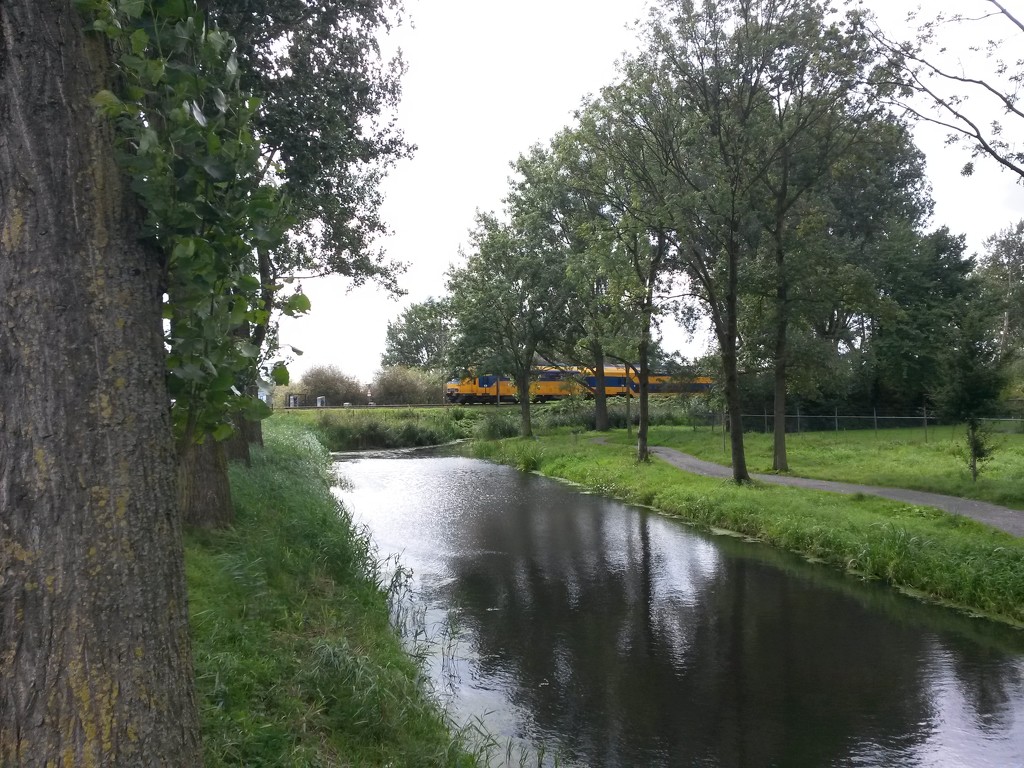 Zoeterwoude - Ommedijkseweg by train365