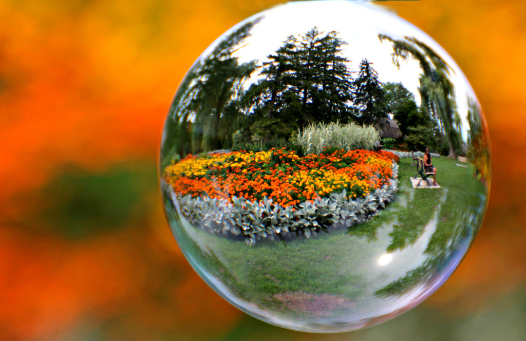 garden in a bubble by summerfield