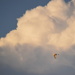Egret Flies Into the Clouds by kareenking