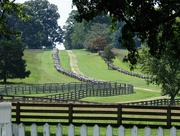 31st Aug 2014 - Road to Appomattox 