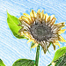 Sunflower #2 by april16
