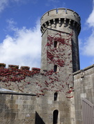 1st Sep 2014 - Penrhyn Castle (1)
