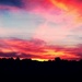 Day 241:  When All Else Fails, Take Another Sunset Photo.... by sheilalorson