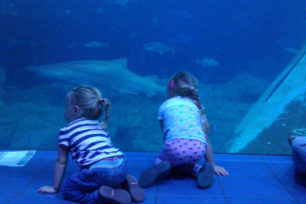 Ellie and Lucy at the Plymouth Aquarium 1 by jennymdennis
