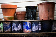 1st Sep 2014 - Flower Pots and Paint Cans