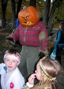17th Oct 2010 - Beware Pumpkinhead!